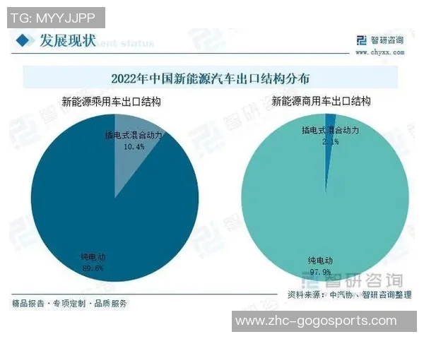 中国足球俱乐部全景解析及各大球队发展现状探讨 中国足球俱乐部全景解析及各大球队发展现状探讨